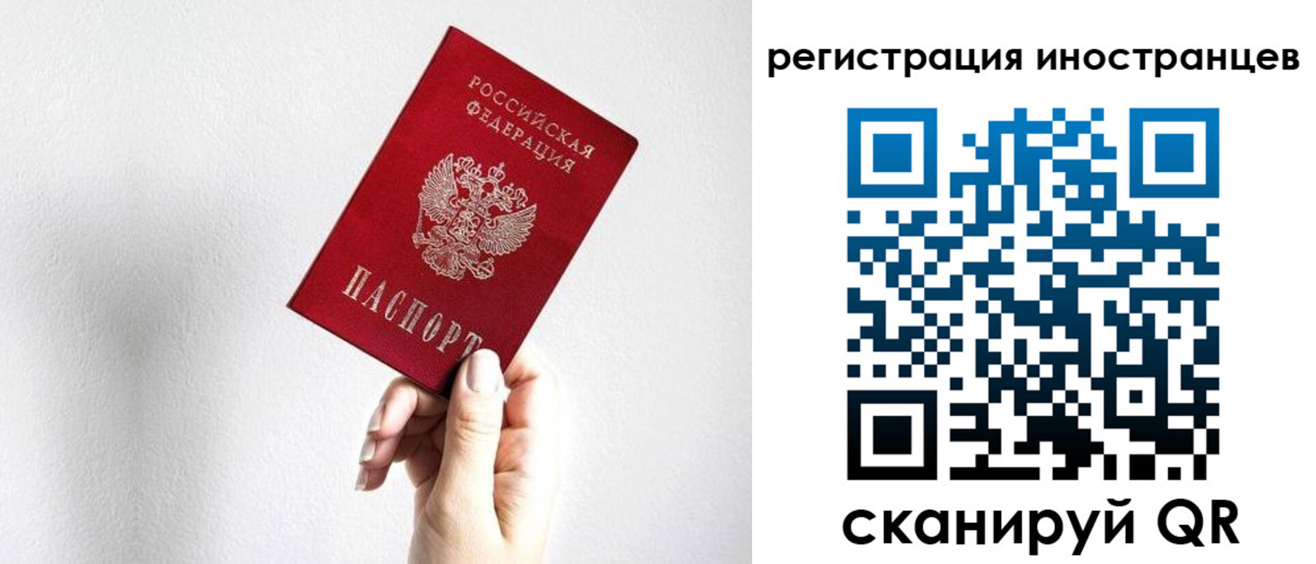 прописка законно в Мурманске