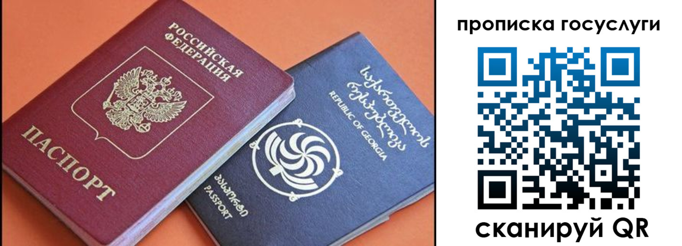прописка поиск в Мурманске